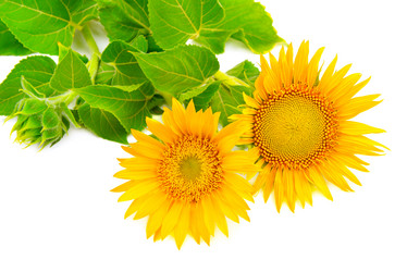 Similar image 12211554