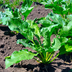 Similar image 12211559