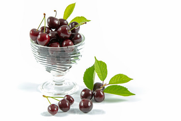 Similar image 12204335