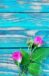 Similar image 12207487