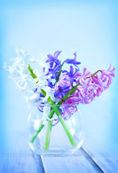 Similar image 12207492