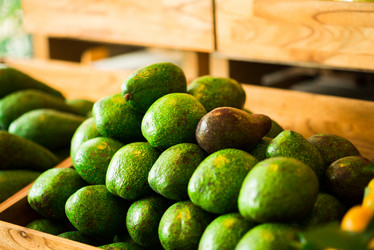 Similar image 12205587