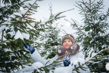 Similar image 12212979