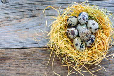 Similar image 12209710