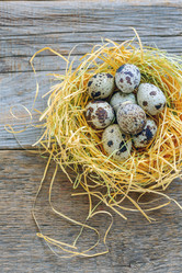 Similar image 12209723