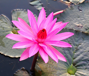 Similar image 12214497