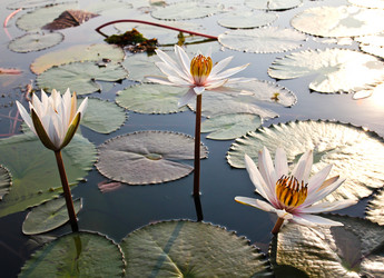 Similar image 12214513