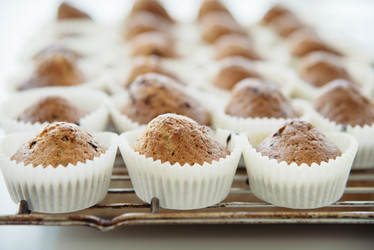 Similar image 12213220