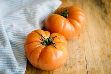 Similar image 12213234