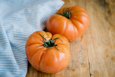 Similar image 12213236