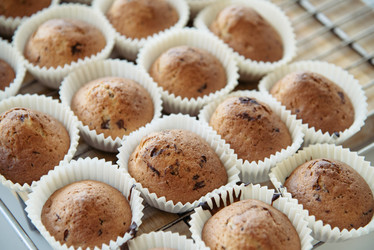 Similar image 12213294