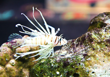 Similar image 12214519