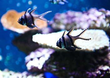 Similar image 12214521