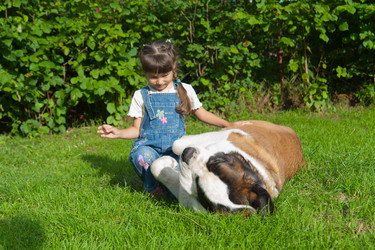 Similar image 12212982