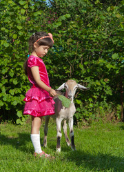 Similar image 12212984