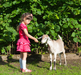 Similar image 12212985