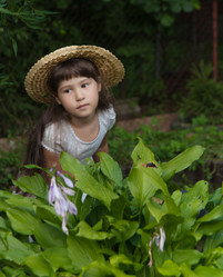 Similar image 12212988