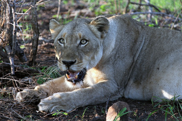 Similar image 12210353