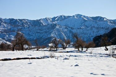 Similar image 12210361