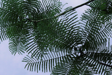 Similar image 12210364