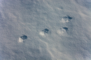 Similar image 12210375