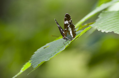 Similar image 12209435