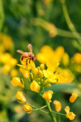 Similar image 12218620