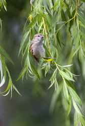 Similar image 12209517