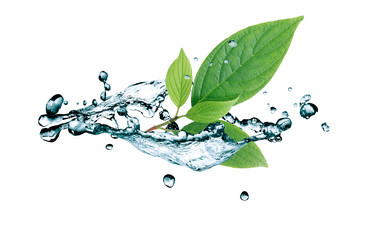 Similar image 12208072