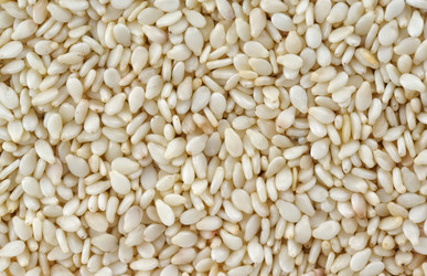 Similar image 12219771