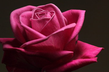 Similar image 12208136