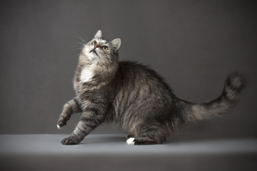 Similar image 12208137