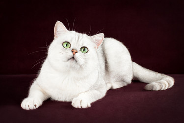 Similar image 12208138