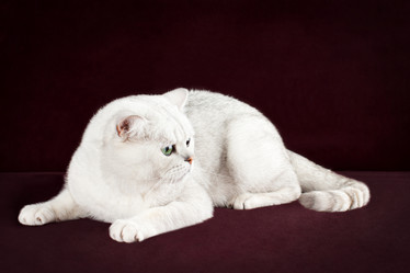 Similar image 12208139