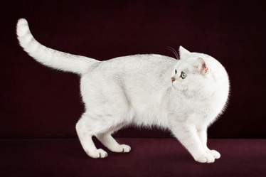 Similar image 12208141