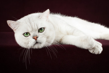 Similar image 12208155