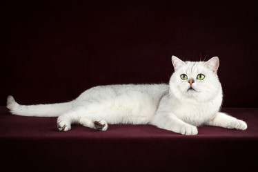 Similar image 12208156