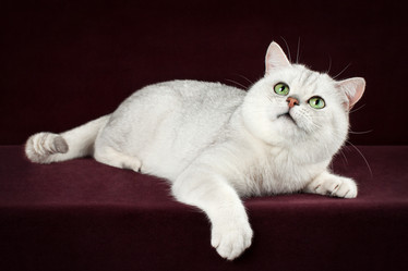 Similar image 12208157