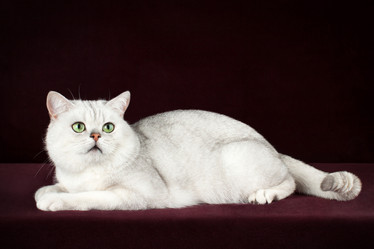 Similar image 12208158