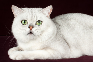 Similar image 12208159