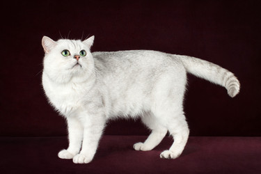 Similar image 12208160