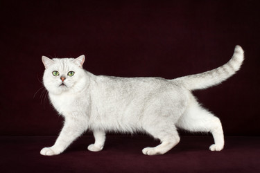 Similar image 12208161