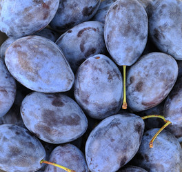 Similar image 12219685