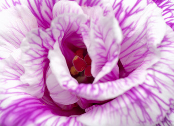 Similar image 12219753