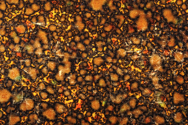 Similar image 12219782