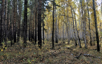 Similar image 12220507