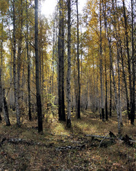 Similar image 12220508