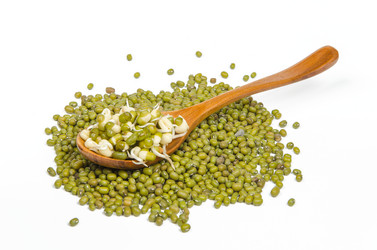 Similar image 12209520