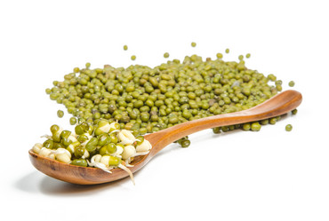 Similar image 12209521