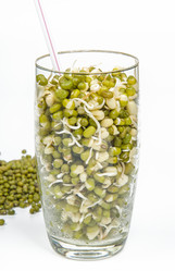 Similar image 12209542